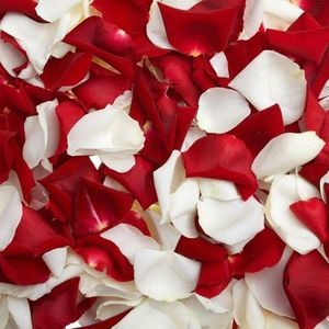 Meet your Posher, Aj